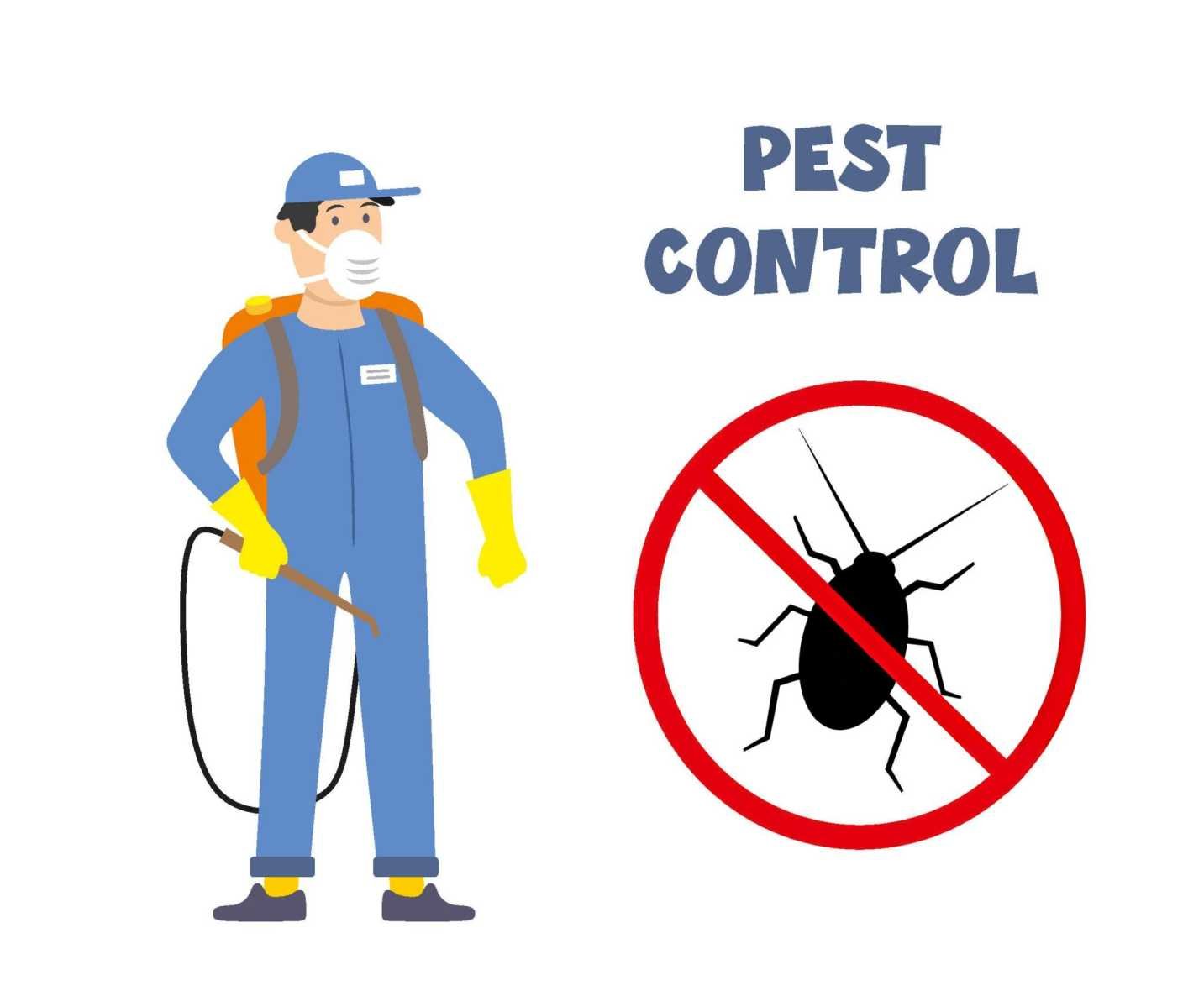Overview of pest control services offered by Niramay Pest Control