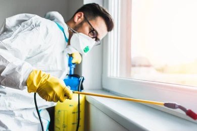 Niramay technician applying lizard repellent spray along skirting boards