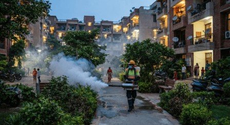Outdoor mosquito fogging treatment in a residential society by Niramay Pest Control